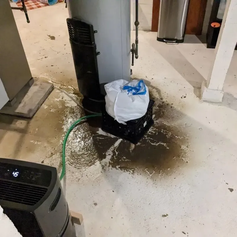 Sewage Backup Cleanup Service in Glascock County, GA